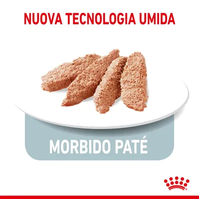 Nuova tecnologia umida, morbido paté. Immagine di quattro fette di paté su un piatto bianco. Marchio Royal Canin visibile in basso a destra.