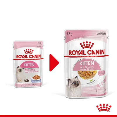 Две опаковки Royal Canin Kitten 85 г с коте, текст: Up to 12 months, в желе. Показана е промяна на дизайна на опаковката. Две опаковки Royal Canin Kitten 85 г с коте, текст: Up to 12 months, в желе. Показана е промяна на дизайна на опаковката.