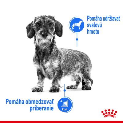 Pes s textom: Pomáha udržiavať svalovú hmotu, Pomáha obmedzovať priberanie. Ikony psa a kalórií, v pravom dolnom rohu červený symbol Royal Canin.