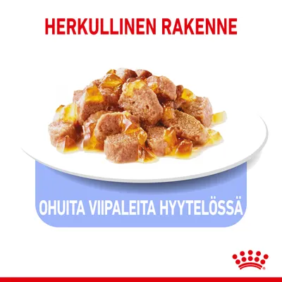 Herkullinen rakenne. Ohuita viipaleita hyytelössä. Royal Canin -brändi näkyvissä lautasella olevassa märkäruoassa.