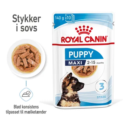 ROYAL CANIN PUPPY MAXI 2–15 months, 140 g x10. Stykker i sovs. Blød konsistens tilpasset til mælketænder. Billede af vådfoder og hundehvalp på emballagen.