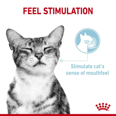 Royal Canin Sensory Feel in Gravy  - 12 x 85g