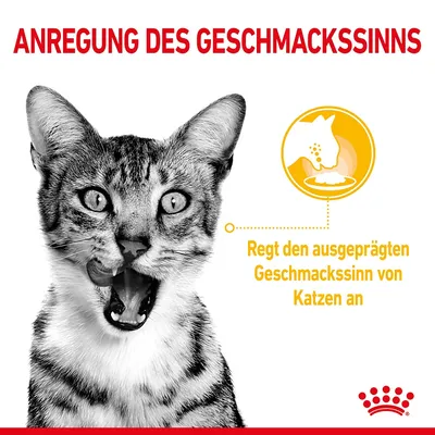 Texte en allemand : ANREGUNG DES GESCHMACKSSINNS. Regt den ausgeprägten Geschmackssinn von Katzen an.