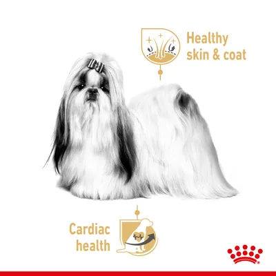Image highlights healthy skin and coat, and cardiac health as key benefits, with icons and text next to a long-haired dog.