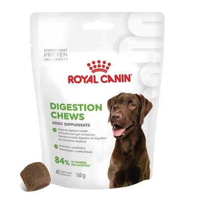 Royal Canin Digestion Chews Adult Supplements, 40 stuks, 160 g. 84% of owners are satisfied. Prebiotics + postbiotics. Ondersteunt spijsvertering volgens verpakking. Royal Canin Digestion Chews Adult Supplements, 40 stuks, 160 g. 84% of owners are satisfied. Prebiotics + postbiotics. Ondersteunt spijsvertering volgens verpakking.