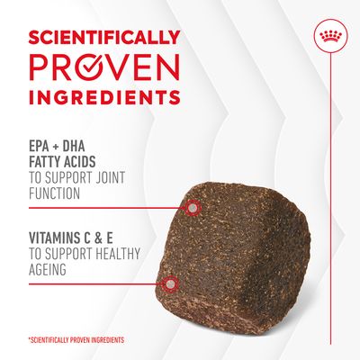 Scientifically proven ingredients. EPA and DHA fatty acids support joint function. Vitamins C and E support healthy ageing. Image shows a food piece with ingredient highlights.