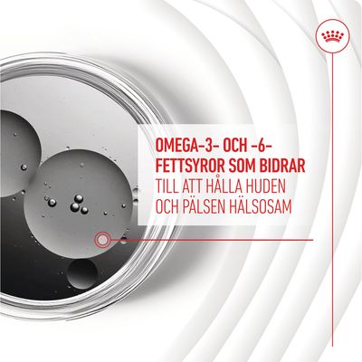 OMEGA-3- OCH -6-FETTSYROR SOM BIDRAR TILL ATT HÅLLA HUDEN OCH PÄLSEN HÄLSOSAM