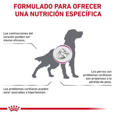 Formulado para ofrecer una nutrición específica. Las contracciones del corazón pueden ser menos eficaces. Los problemas cardíacos pueden estar asociados a hipertensión. Los perros con problemas cardíacos son propensos a la pérdida de peso.