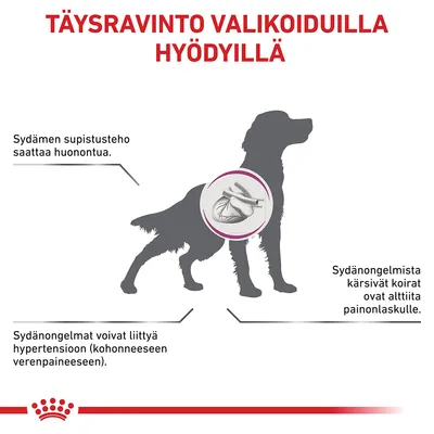 Täysravinto valikoiduilla hyödyillä. Sydämen supistusteho saattaa huonontua. Sydänongelmat voivat liittyä hypertensioon. Sydänongelmista kärsivät koirat ovat alttiita painonlaskulle.