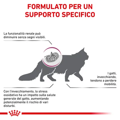 FORMULATO PER UN SUPPORTO SPECIFICO. La funzionalità renale può diminuire senza segni visibili. I gatti, invecchiando, tendono a perdere mobilità. Stress ossidativo aumenta il rischio di disturbi.