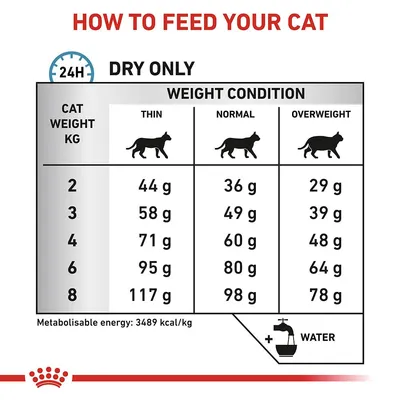 Utfodringsråd för katt: torrfoder per dag efter vikt (2–8 kg) och hull (mager, normal, överviktig), mängder 29–117 g. Metaboliserbar energi: 3489 kcal/kg. Vatten rekommenderas.