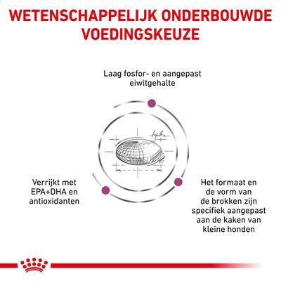 Wetenschappelijk onderbouwde voedingskeuze. Laag fosfor- en aangepast eiwitgehalte. Verrijkt met EPA+DHA en antioxidanten. Brokformaat en -vorm aangepast aan kaken van kleine honden.