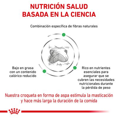 Nutrición salud basada en la ciencia. Combinación específica de fibras naturales. Bajo en grasa con un contenido calórico reducido. Rico en nutrientes esenciales. Croqueta en forma de aspa.
