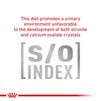 This diet promotes a urinary environment unfavorable to the development of both struvite and calcium oxalate crystals. [s/o] INDEX (κείμενο στα αγγλικά)