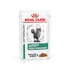 Royal Canin Satiety Weight Management Feline Veterinary umido gatto 12 x 85 g