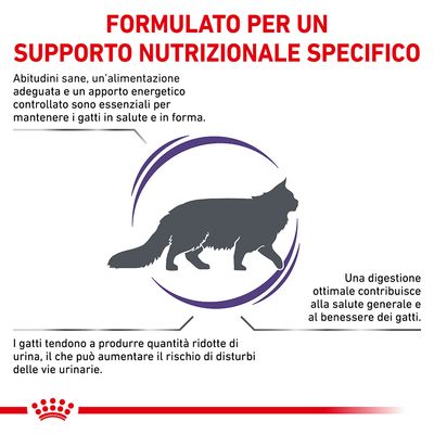 FORMULATO PER UN SUPPORTO NUTRIZIONALE SPECIFICO. Abitudini sane, alimentazione adeguata e apporto energetico controllato sono essenziali per la salute dei gatti. Testo in italiano.