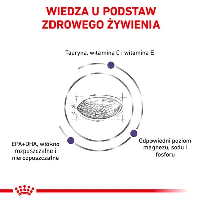 Wiedza u podstaw zdrowego żywienia: tauryna, witamina C i E, EPA+DHA, włókno rozpuszczalne i nierozpuszczalne, odpowiedni poziom magnezu, sodu i fosforu.