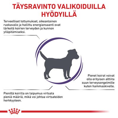 Täysravinto valikoiduilla hyödyillä. Terveelliset tottumukset ja oikeanlainen ruokavalio tärkeitä koirille. Pienet koirat alttiita hammaskivelle ja virtsateiden herkkyydelle.