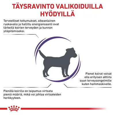 Täysravinto valikoiduilla hyödyillä. Terveelliset tottumukset ja oikeanlainen ruokavalio tärkeitä koirille. Pienet koirat alttiita hammaskivelle ja virtsateiden herkkyydelle.