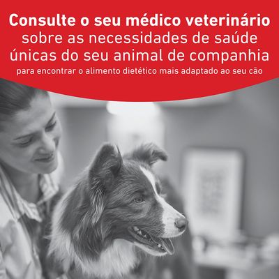 Royal Canin Veterinary Canine Glycobalance