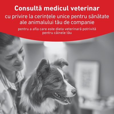 Royal Canin Veterinary Canine Glycobalance Mousse