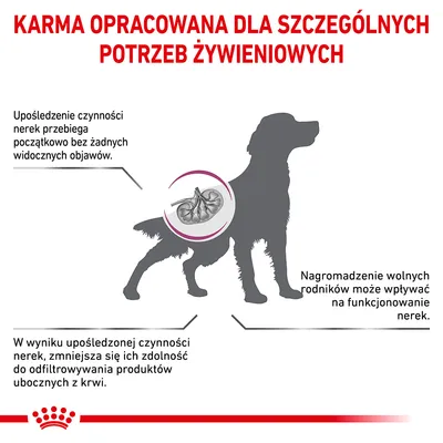 Karma opracowana dla szczególnych potrzeb żywieniowych. Informacje o upośledzeniu czynności nerek, nagromadzeniu wolnych rodników i zmniejszonej filtracji produktów ubocznych.