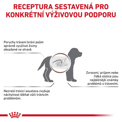 Receptura sestavená pro konkrétní výživovou podporu. Poruchy trávení brání psům využívat živiny, zvracení a průjem jsou známky problémů, nezralá soustava zvyšuje náchylnost štěňat.