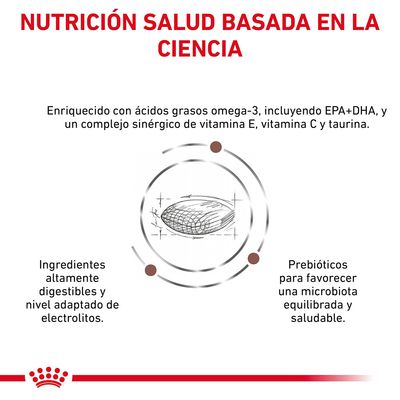 NUTRICIÓN SALUD BASADA EN LA CIENCIA. Enriquecido con ácidos grasos omega-3, EPA+DHA, vitamina E, C y taurina. Ingredientes altamente digestibles, electrolitos adaptados, prebióticos para microbiota.