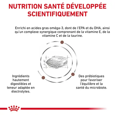 NUTRITION SANTÉ DÉVELOPPÉE SCIENTIFIQUEMENT. Enrichi en oméga-3, EPA, DHA, vitamines E et C, taurine. Ingrédients hautement digestibles, électrolytes adaptés, prébiotiques pour le microbiote.