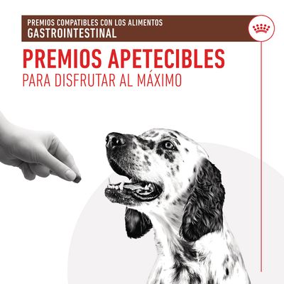 Premios compatibles con los alimentos gastrointestinal. Premios apetecibles para disfrutar al máximo. Imagen de una mano ofreciendo un premio a un perro blanco con manchas negras.