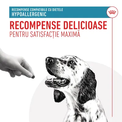 Recompense compatibile cu dietele hypoallergenic. Recompense delicioase pentru satisfacție maximă. Imagine cu un câine și o mână care oferă o recompensă.