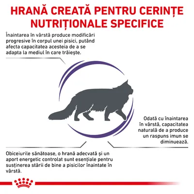 HRANĂ CREATĂ PENTRU CERINȚE NUTRIȚIONALE SPECIFICE. Inaintarea în vârstă la pisici afectează adaptarea și răspunsul imun. Hrana adecvată susține starea de bine a pisicilor în vârstă.