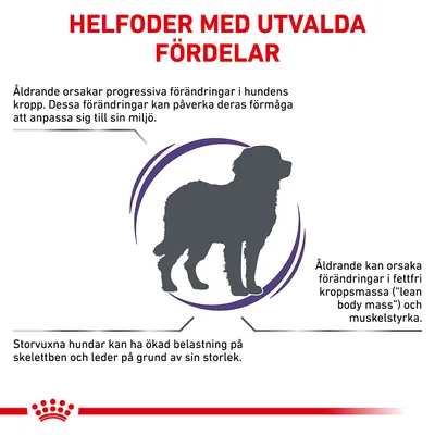 Text: HELFODER MED UTVALDA FÖRDELAR. Information om åldrande hos hundar, påverkan på kropp, muskelstyrka och skelettben. Siluett av stor hund i mitten.