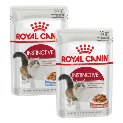 Royal Canin Adult Jelly & Gravy Mixed Pack 24 x 85g - Instinctive in Jelly & Gravy Royal Canin Adult Jelly & Gravy Mixed Pack 24 x 85g - Instinctive in Jelly & Gravy