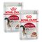 Royal Canin Adult Jelly & Gravy Mixed Pack 24 x 85g Instinctive in Jelly & Gravy