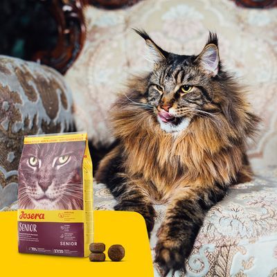 Josera Senior kattmat, skonsam mat för äldre katter, med Njure Plus, anti-aging och lättsmält. Made in Germany.