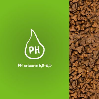 Gránulos de pienso junto a gráfico con texto: PH urinario 6,0–6,5. Indica el rango de PH urinario asociado al producto.