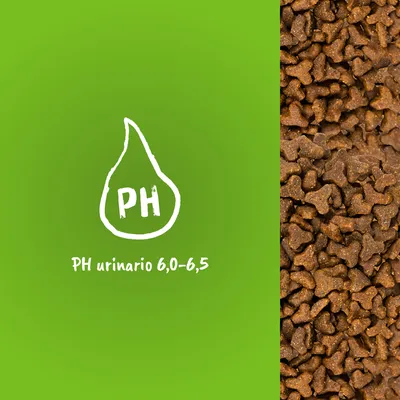 Gránulos de pienso junto a gráfico con texto: PH urinario 6,0–6,5. Indica el rango de PH urinario asociado al producto.