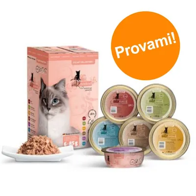 Confezione e vaschette di cibo umido per gatti Catessy, vari gusti visibili, piatto con alimento e scritta arancione 'Provami!'.