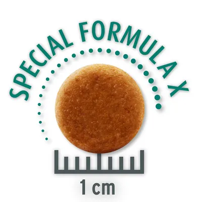 Kibble size 1 cm, Special Formula X. Round kibble design with scale for size indication.