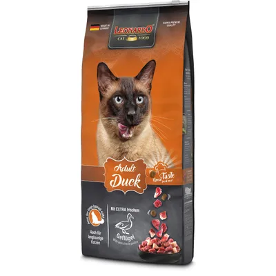 Leonardo Adult And Leonardo Adult And