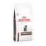 Royal Canin Kitten Gastrointestinal Feline Veterinary Crocchette per gatti Set %: 2 x 2 kg