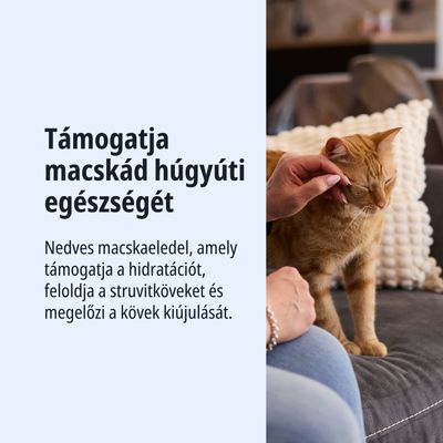 Magyar szöveg: A nedves macskaeledel támogatja a hidratálást, feloldja a struvit köveket, és megelőzi azok újbóli kialakulását.