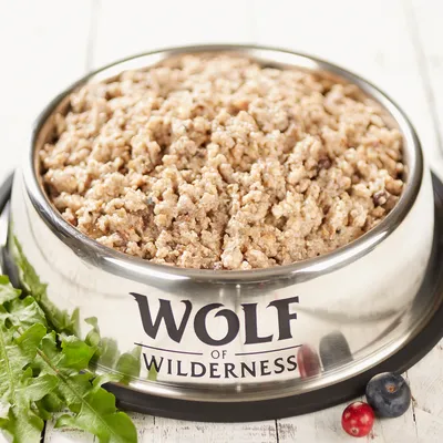 Wolf of Wilderness mokré krmivo v nerezové misce, obklopené čerstvými ingrediencemi jako jsou bobule a zelené rostliny.