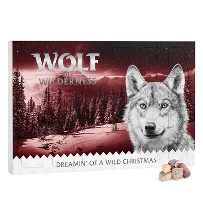 Wolf of Wilderness julekalender med vinterligt skovmotiv og ulv, tekst: Dreamin' of a Wild Christmas. Indeholder godbidder til hunde. Wolf of Wilderness julekalender med vinterligt skovmotiv og ulv, tekst: Dreamin' of a Wild Christmas. Indeholder godbidder til hunde.