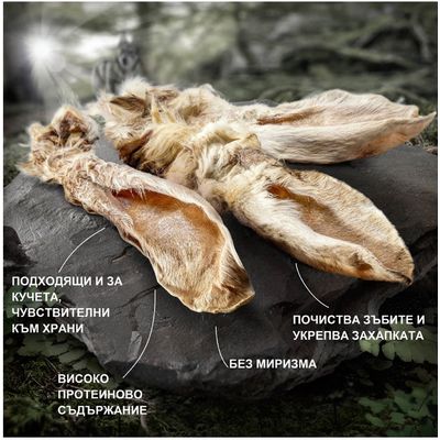 Сушени заешки уши с козина върху камък. Видим текст: Подходящи и за кучета, чувствителни към храни; Високо протеиново съдържание; Без миризма; Почиства зъбите и укрепва захапката.