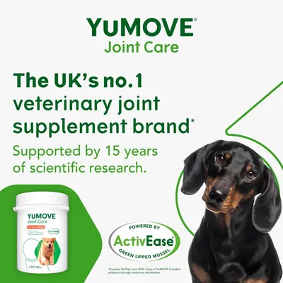 YuMOVE Joint Care, the UK’s no.1 veterinary joint supplement brand, supported by 15 years of scientific research. Powered by ActivEase green lipped mussel.