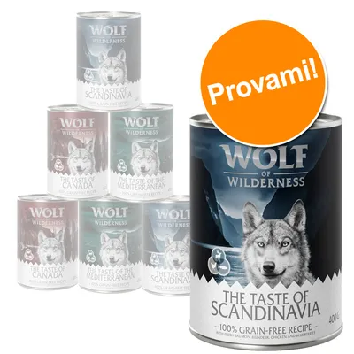 Wolf of Wilderness The Taste of Scandinavia 400 g, ricetta senza cereali. Etichetta arancione con testo: Provami! Altri gusti visibili: Canada, Mediterranean.