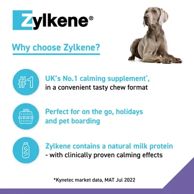 Zylkene Calming Chews for Large Dogs 30 - 60 kg - 14 Chews