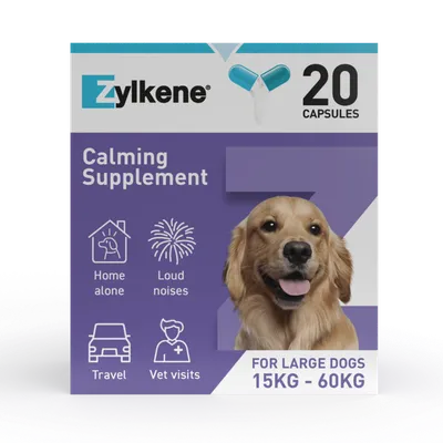 Zylkene Calming Supplement, 20 capsules. For large dogs, 15kg–60kg. Suitable for being alone, loud noises, travel and vet visits.